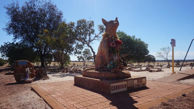 corrigin dog cementery