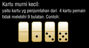  panduan dan cara bermain domino99-murni kecil
