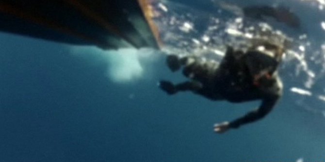 cetak dua rekor  Pria Ini Berenang di laut Penuh paus
