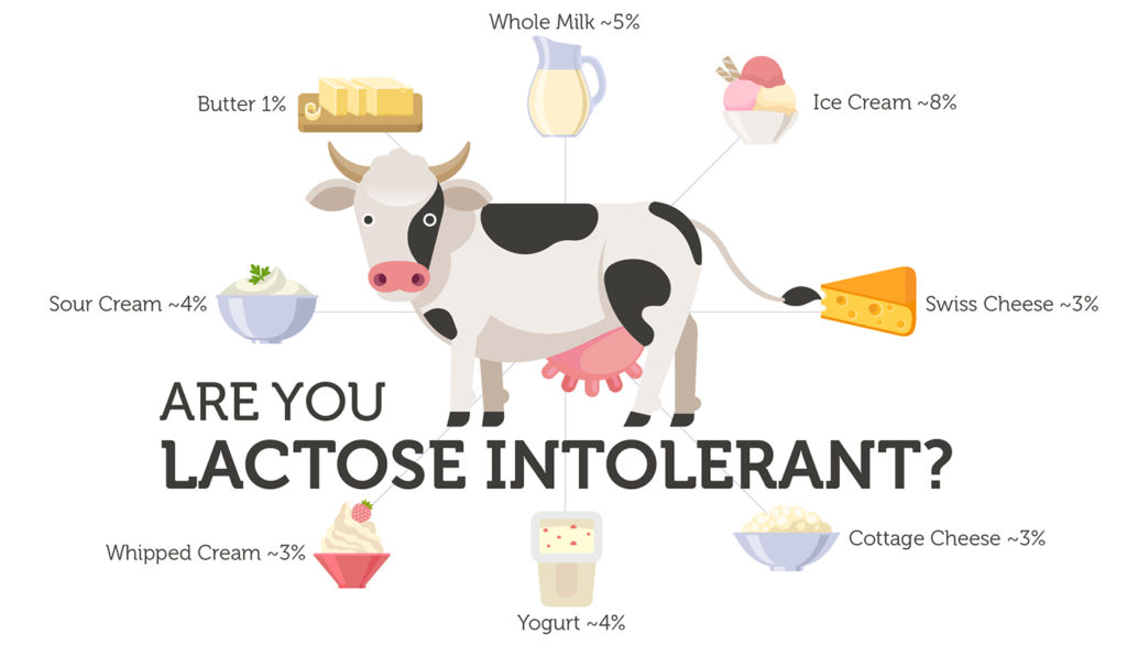 Makanan Pengganti Susu Sapi Bagi yang Menderita Intoleran Laktosa