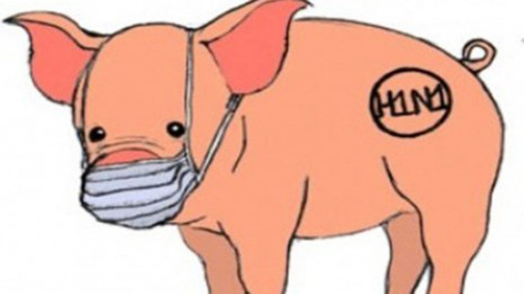 Pemerintah Sudah Mencari Jejak Virus Flu Babi 