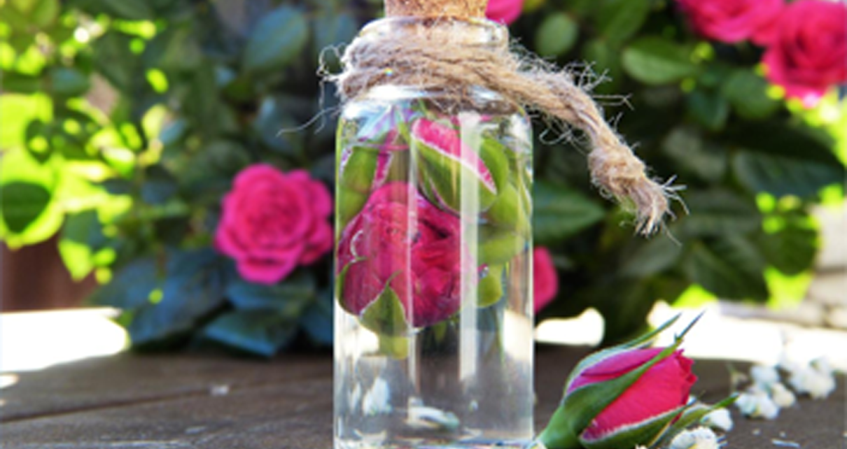 6 Manfaat Air Mawar yang Bisa Bikin Kulit Awet Muda