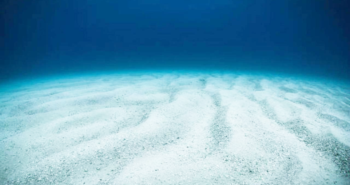 Rekor Jelajah Lautan Terdalam di Dunia, Apa yang Ditemukan Membuat Miris