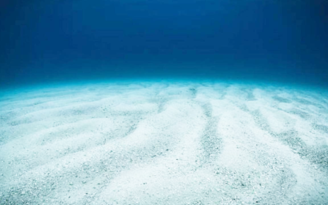 Rekor Jelajah Lautan Terdalam di Dunia, Apa yang Ditemukan Membuat Miris