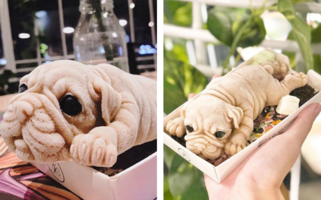Sebuah Kafe Di Taiwan Dengan Es Krimnya Berbentuk Anak Anjing