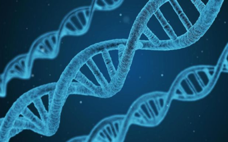 Risiko Cara Cegah Penyakit Dan Manfaat Kenali Test DNA