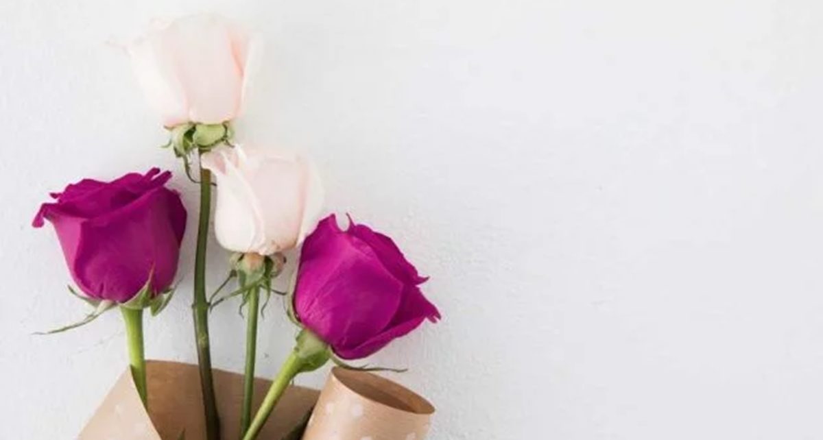 Manfaat Bunga Mawar untuk Kesehatan, Kecantikan
