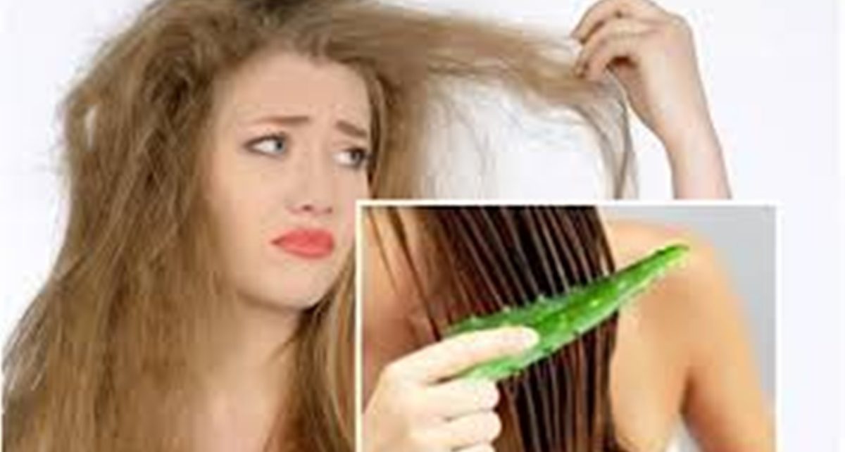 Cara Merawat Rambut Yang Rusak