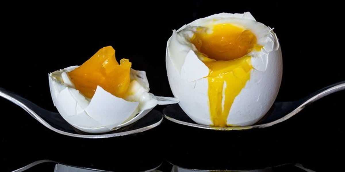 Manfaat Makan Telur Ayam Setiap Hari