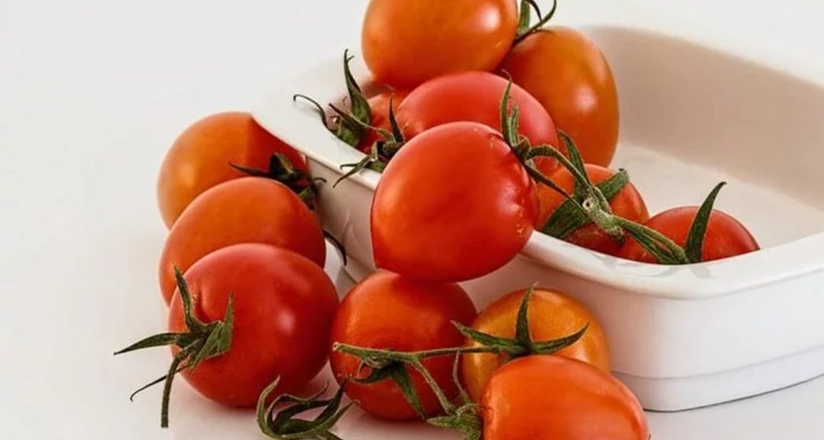 Manfaat Tomat untuk Kesehatan Tubuh, Bisa Bikin Langsing Lho!
