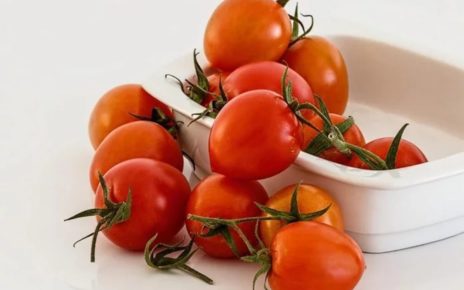 Manfaat Tomat untuk Kesehatan Tubuh, Bisa Bikin Langsing Lho!