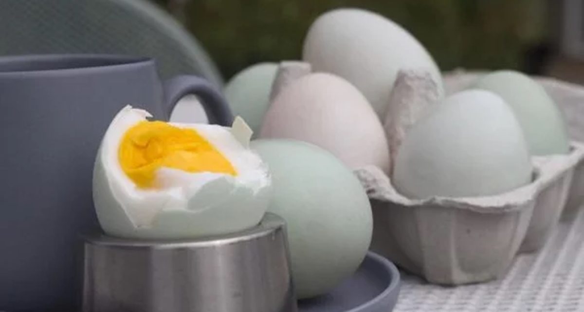 Manfaat Telur Asin yang Jarang Diketahui